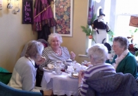 Golden Shamrock Club