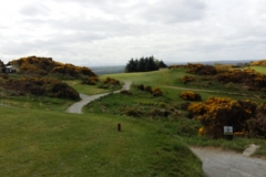 20170424_122433_resized