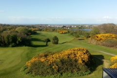 20170425_180838_resized_1