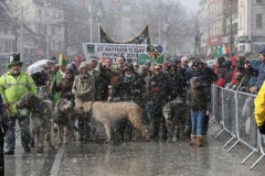 Braving the elements just for the craic